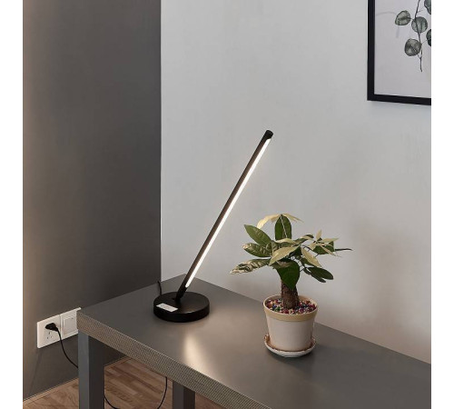 Настольная лампа декоративная Mantra Torch 6738