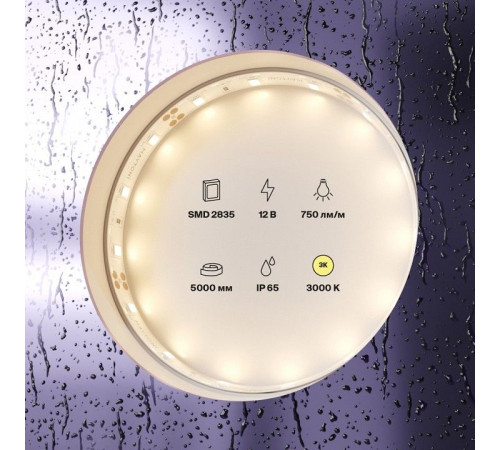 Лента светодиодная Maytoni Led strip 20004