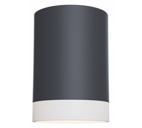 Накладной светильник Maytoni Pauline C008CW-01B