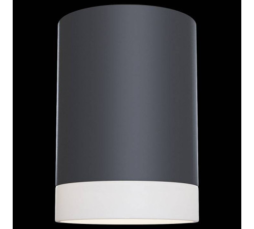 Накладной светильник Maytoni Pauline C008CW-01B