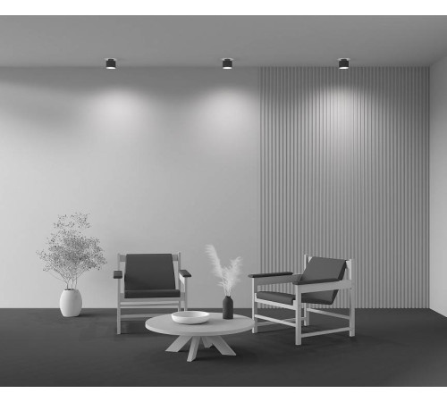 Накладной светильник Maytoni Planet C009CW-L12B