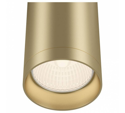 Накладной светильник Maytoni Focus C010CL-01MG