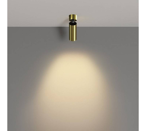 Потолочный светодиодный светильник Maytoni Focus LED C055CL-L12W2.7K-W-BS