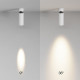 Потолочный светильник Maytoni Technical Focus LED 12 Вт 3000K C055CL-L12W3K-SS-W