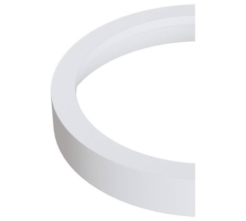 Вставка декоративная Maytoni Accessories for downlight DLA040-01W