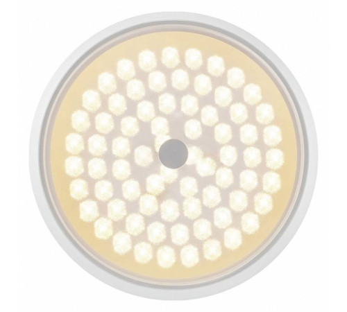 Накладной светильник Freya Cells FR10012CL-L24W