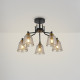 Люстра на штанге Freya Capella FR4017PL-05BBZ