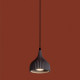 Подвесной светильник Freya Terra FR5582PL-01GF