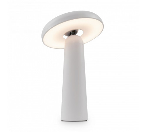 Настольная лампа декоративная Freya Mushroom FR6109TL-L4W