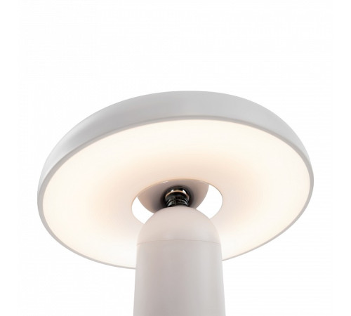 Настольная лампа декоративная Freya Mushroom FR6109TL-L4W
