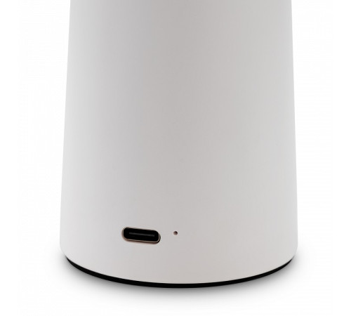 Настольная лампа декоративная Freya Mushroom FR6109TL-L4W