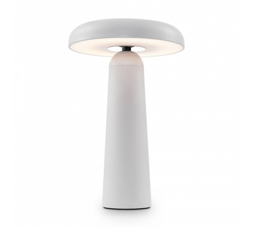 Настольная лампа декоративная Freya Mushroom FR6109TL-L4W