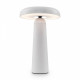 Настольная лампа декоративная Freya Mushroom FR6109TL-L4W