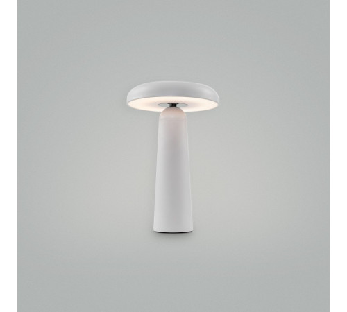 Настольная лампа декоративная Freya Mushroom FR6109TL-L4W