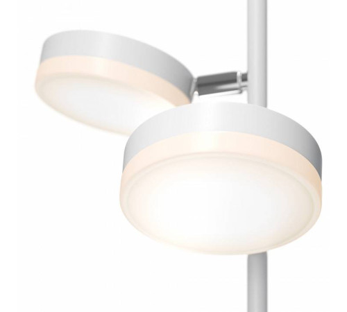 Торшер Maytoni Fad MOD070FL-L12W3K