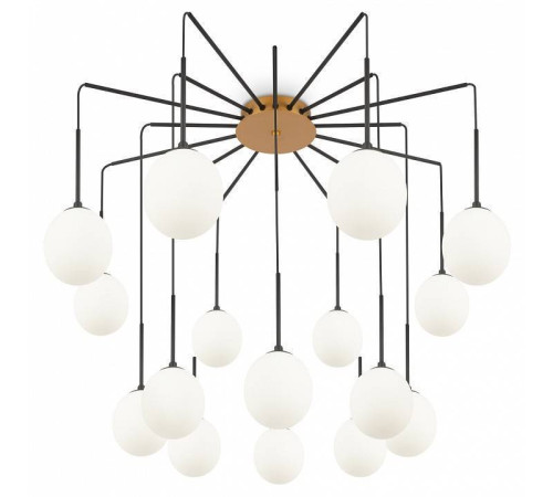 Потолочная люстра Maytoni Branch MOD176PL-16G