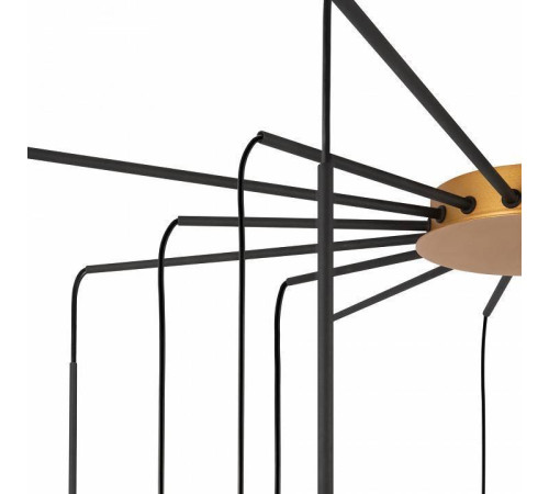 Потолочная люстра Maytoni Branch MOD176PL-16G