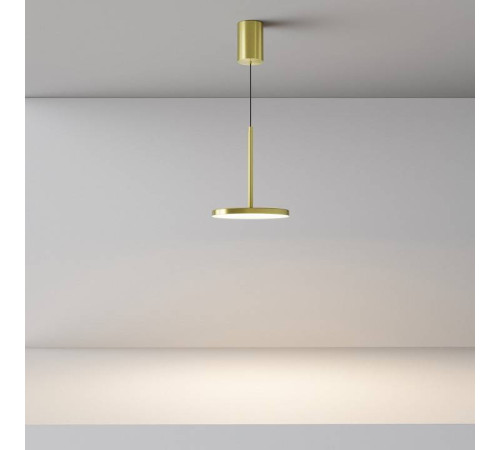 Подвесной светильник Maytoni Plato P076PL-L12W3K-BS