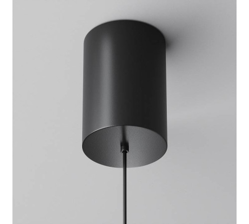 Подвесной светильник Maytoni Plato P076PL-L12W4K-B