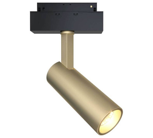 Трековый светодиодный светильник Maytoni Focus LED TR019-2-10W3K-MG