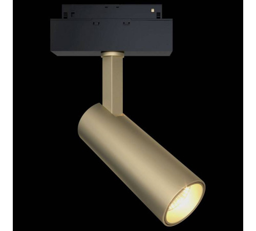 Трековый светодиодный светильник Maytoni Focus LED TR019-2-10W3K-MG
