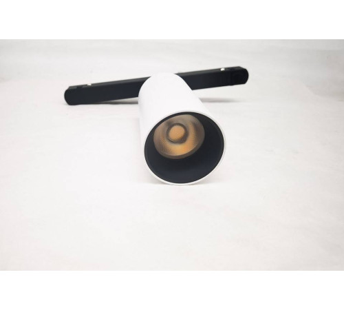 Светильник на штанге Maytoni Focus LED TR032-2-12W3K-S-W