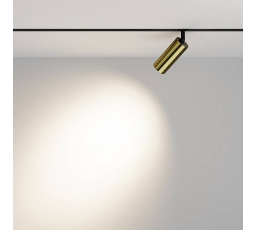 Светильник на штанге Maytoni Focus LED TR032-2-12W4K-M-BBS