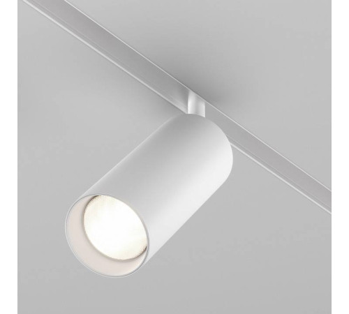 Светильник на штанге Maytoni Focus LED TR032-4-20W3K-S-DS-W