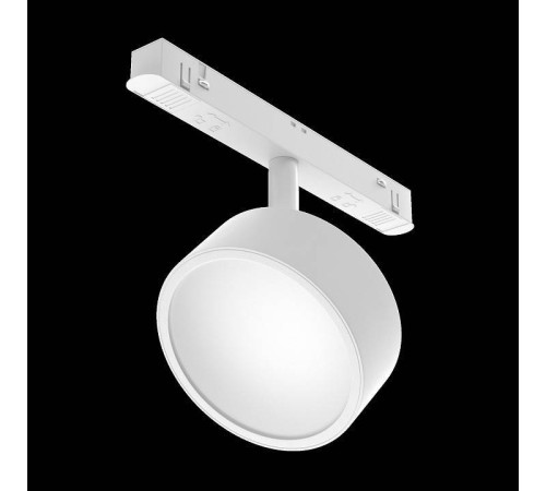 Светильник на штанге Maytoni Rado TR040-2-18W3K-W