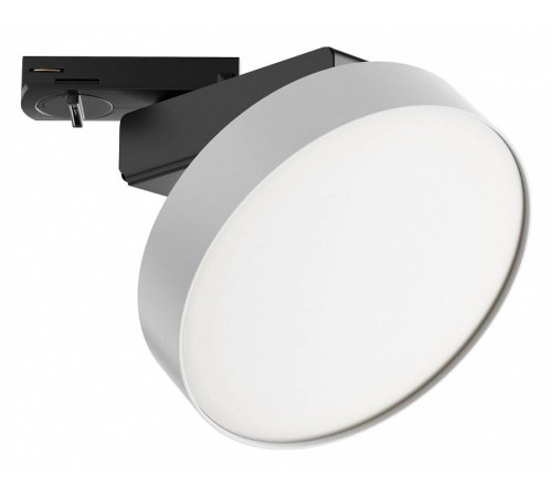 Светильник на штанге Maytoni Zon TR043-1-12W4K-W