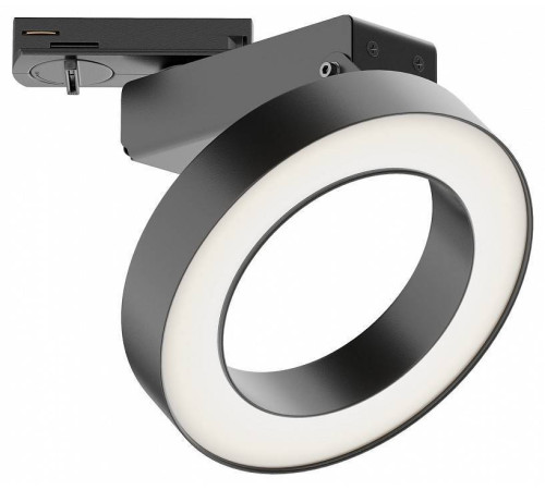 Светильник на штанге Maytoni Rim TR044-1-12W3K-B