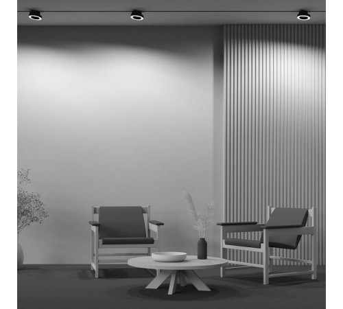 Светильник на штанге Maytoni Rim TR044-1-12W3K-B