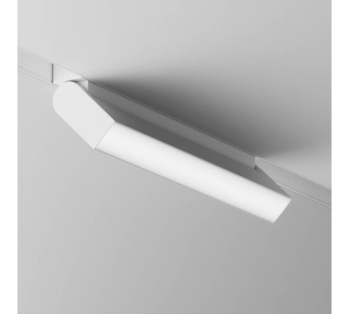 Накладной светильник Maytoni Basis Rot TR075-2-20W4K-W