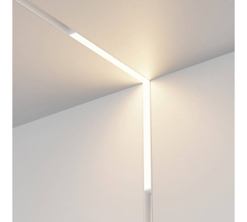 Встраиваемый светильник Maytoni Basis TR102-24W-DS-W