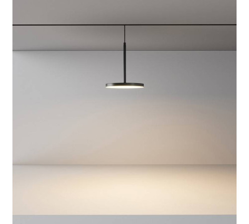 Подвесной светильник Maytoni Plato TR123-2-15W3K-B