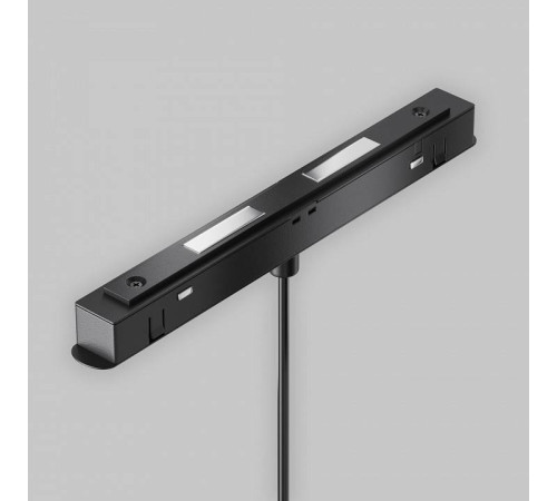 Подвесной светильник Maytoni Plato TR123-2-15W3K-B