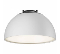 Накладной светильник Maytoni Bowl TR126B-20W4K-W