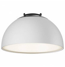 Накладной светильник Maytoni Bowl TR126B-20W4K-W