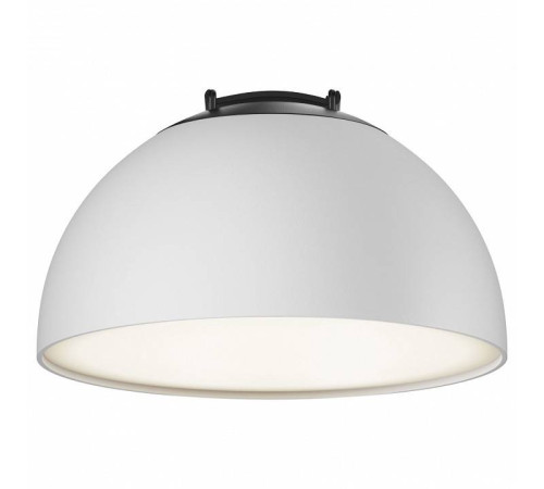 Накладной светильник Maytoni Bowl TR126B-20W4K-W