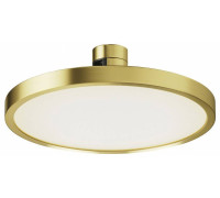 Накладной светильник Maytoni Plato TR153-1-10W4K-BS