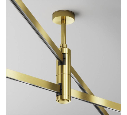 Подвес для трека Maytoni Accessories for tracks Flarity TRA156С-D1-BS