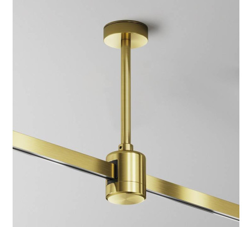 Основание на штанге Maytoni Accessories for tracks Flarity TRA156C-IPCL1-BS