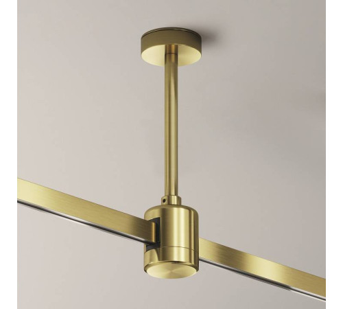 Основание на штанге Maytoni Accessories for tracks Flarity TRA156C-IPCL1-BS