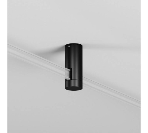 Основание на штанге Maytoni Flexity TRA200C-11B