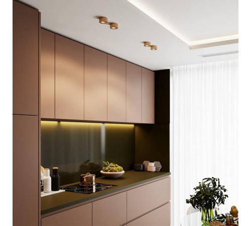 Накладной светильник Odeon Light Bene 4284/7CL