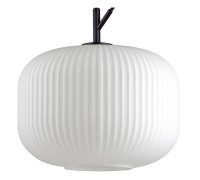 Подвесной светильник Odeon Light Roofi 4754/1