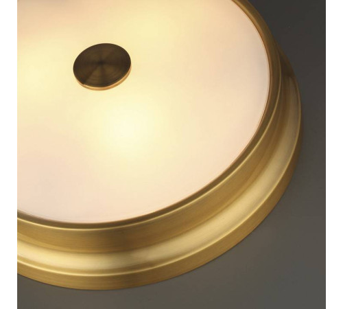 Потолочный светильник Odeon Light Marsei 4824/4C