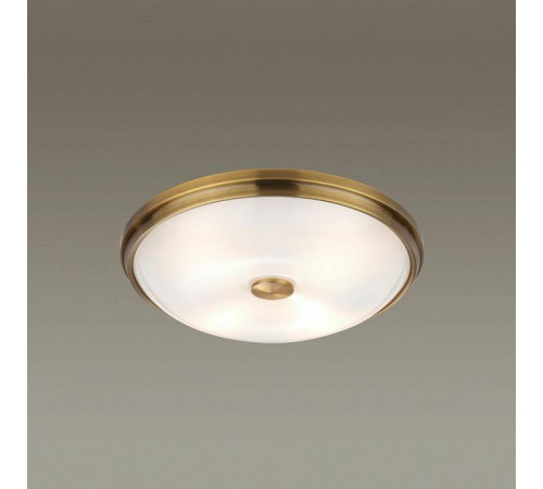 Накладной светильник Odeon Light Pelow 4956/4