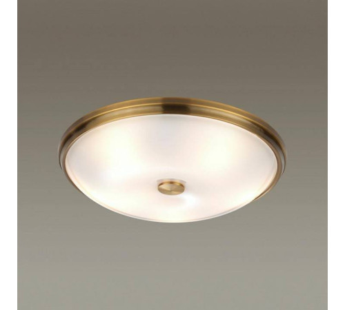 Накладной светильник Odeon Light Pelow 4956/5