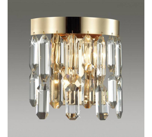 Накладной светильник Odeon Light Dakisa 4986/2W